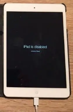 ipad mini