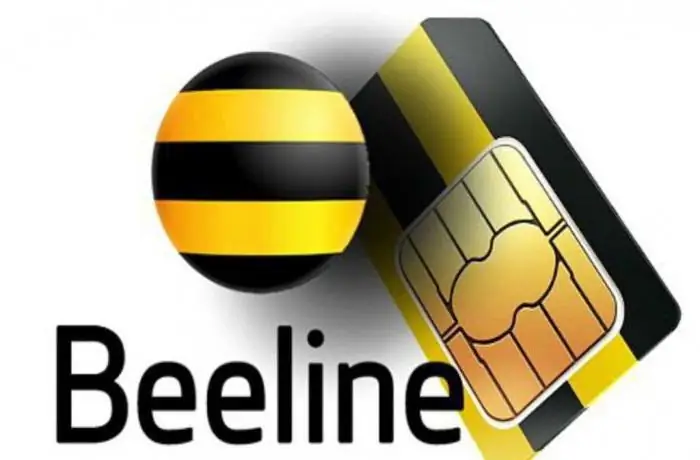 beeline tariff plan change personal account