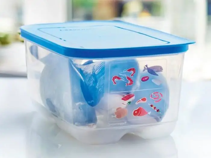 "Slimme koelkast" met slimme technologieën van LG. Container Tupperware "Smart Koelkast"