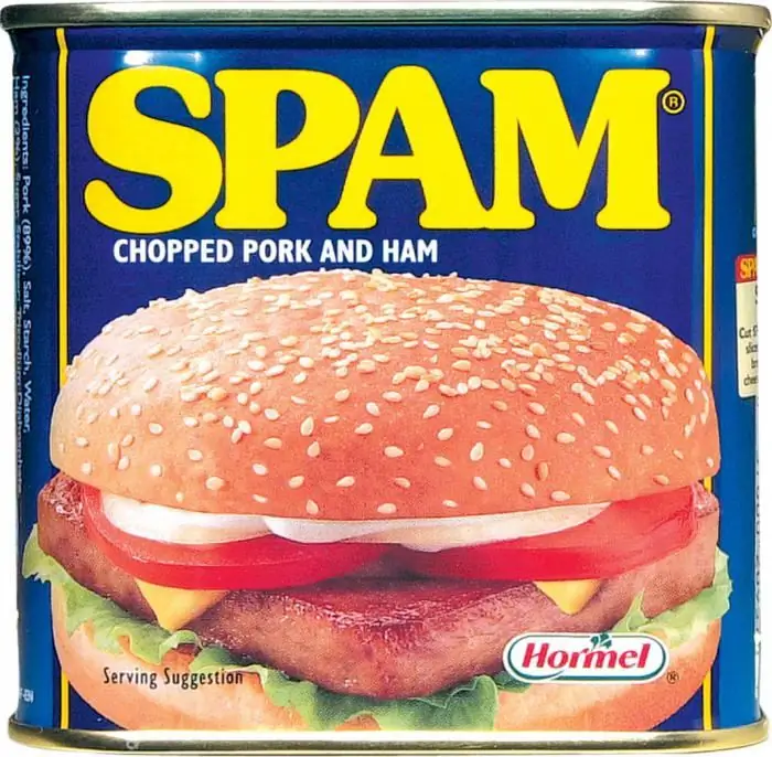 what is spame-mail