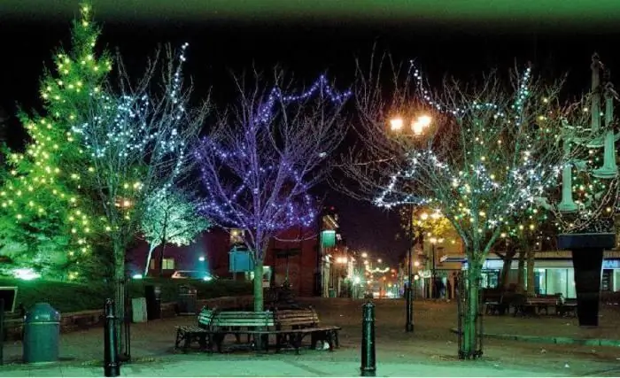 street garlands on trees