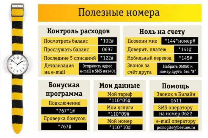 com comprovar la llista de serveis beeline connectats